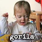 Gorila