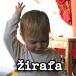 Žirafa