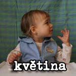 Květina