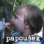 Papoušek