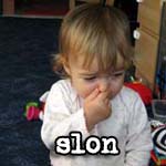 Slon