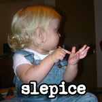 Slepice