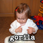 Gorila