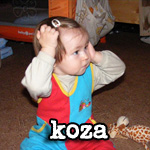 Koza