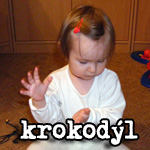 Krokodýl