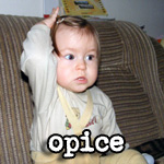 Opice