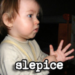 Slepice