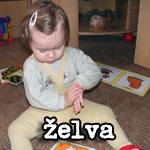 Želva