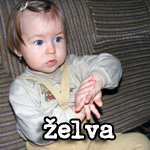 Želva