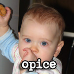 Opice